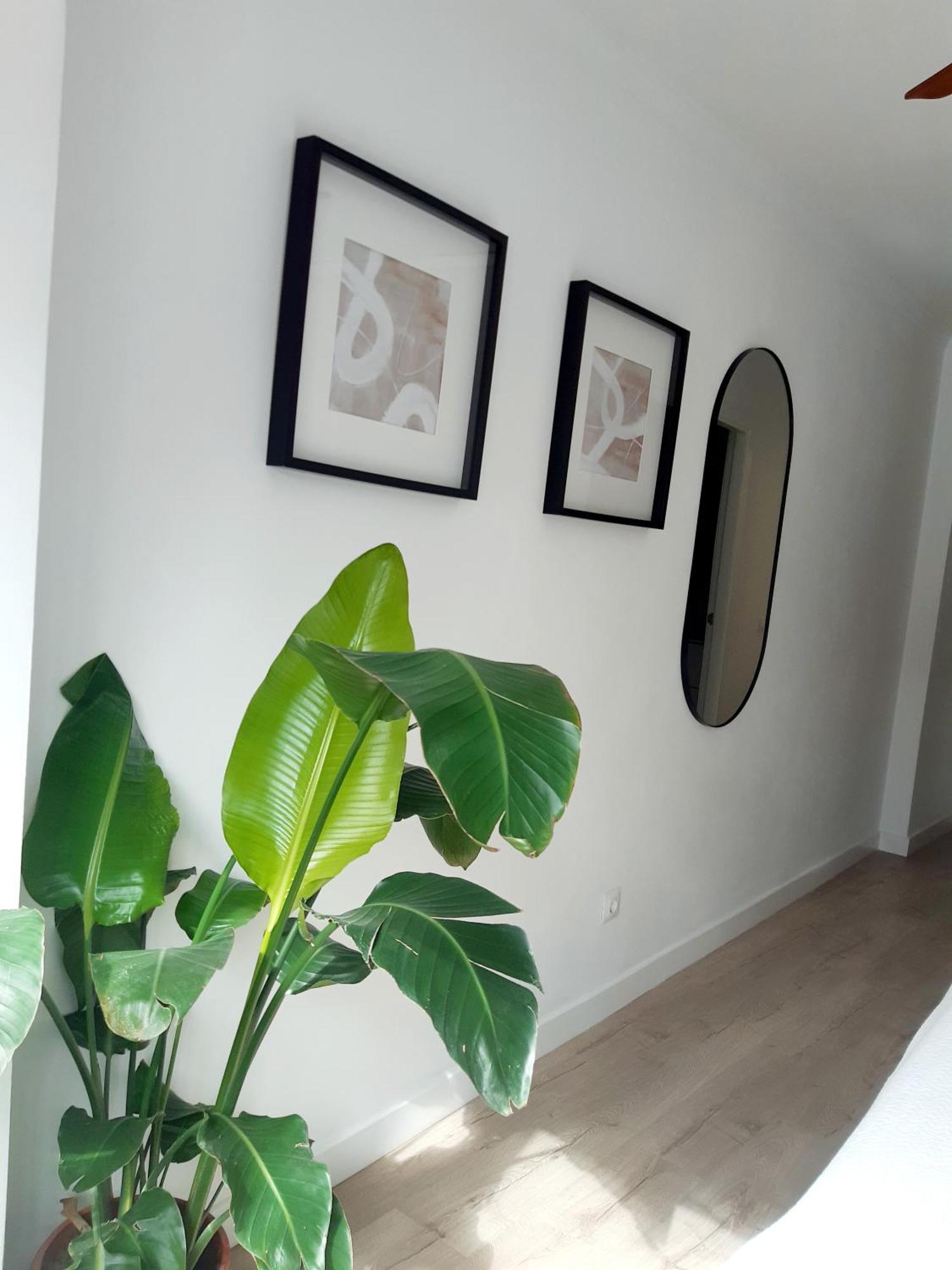 Impressive Apartment With 3 Bedrooms Metres From The Beach Estepona Luaran gambar